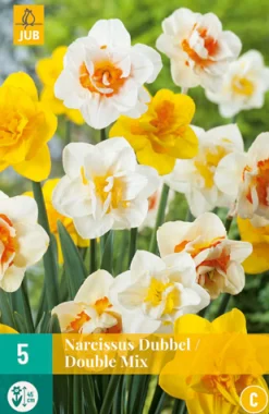 Best ohgreen 5 narcissus dubbel mix