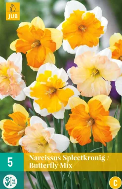 Best ohgreen 5 narcissus spleetkronig mix