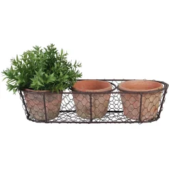 Best ohgreen 3 potjes in draadmand