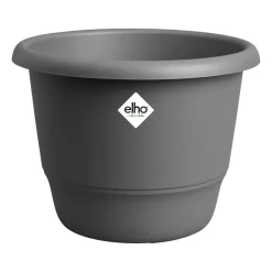 Best ohgreen Amiga rond