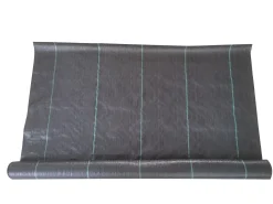 Best ohgreen Anti worteldoek 1*25m v23