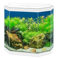 New ohgreen Aquarium aqua 30 led