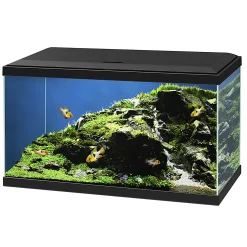 Clearance ohgreen Aquarium aqua 60 led bio cf150