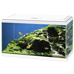Best ohgreen Aquarium aqua 60 led bio cf150