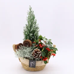 Sale ohgreen Arrangement Gaultheria creatie