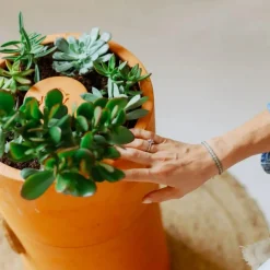 Online ohgreen Bloemen composter 2 lagen