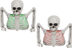 Clearance ohgreen Buste skeleton