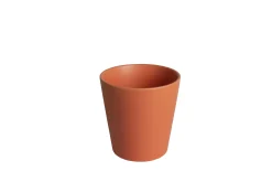 Best ohgreen CIL.ORCH.POT D14 BASIC KORAAL