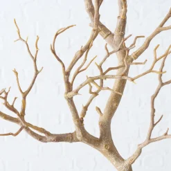 Best ohgreen Decoratietak