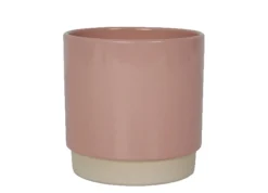 New ohgreen Eno pot duo dusty