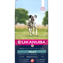 Best ohgreen Euk dog adult large salmon