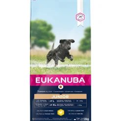 Best ohgreen Euk dog developing junior large breed