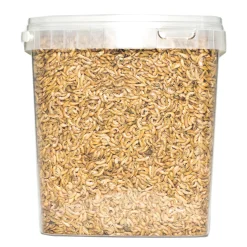 Best ohgreen Gammarus 8 mm. 5 liter