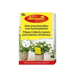 Best ohgreen Gele insectenvallen voor kamerplanten
