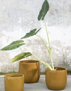 Online ohgreen Glazed shades Pot mosterd d22 h20