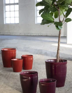 Hot ohgreen Glazed shades Sierpot lines l40xb40xh44 rood