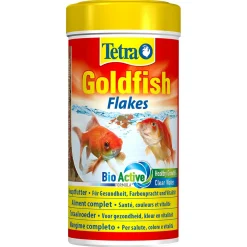 Clearance ohgreen Goldfish