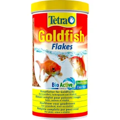 Best ohgreen Goldfish