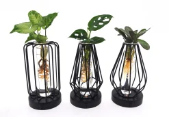 Best ohgreen Groenmix in glas + led