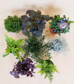 Discount ohgreen Herfstmix