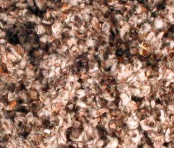 New ohgreen Katoenbedding reukvrij 1,5kg