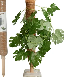 Clearance ohgreen Kokosplantenstok