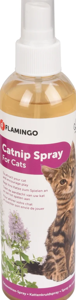 Discount ohgreen Lokstof premium care derek  catnip oranje