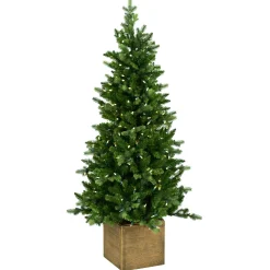 Clearance ohgreen Norfolk pe table tree w/pot 137cm 200l transfo