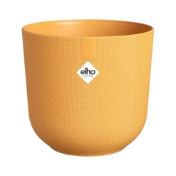Best ohgreen Pot jazz rond 16cm amber geel