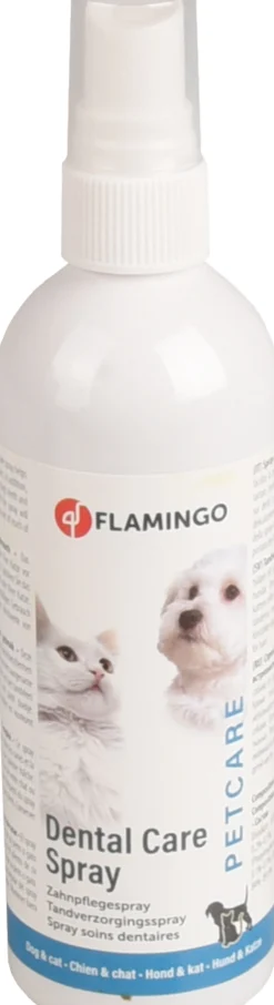 Best ohgreen Tandverzorgingsspray munt -  spray