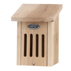 Hot ohgreen Vlinderkast in cadeaudoos