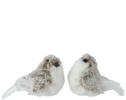 Best ohgreen Vogel kunstbont