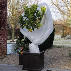 Discount ohgreen Winterafdekvlies 2x5m wit 30g/m²